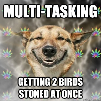 Multi-tasking getting 2 birds stoned at once  Stoner Dog