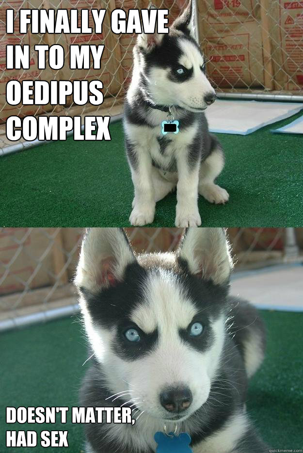 I finally gave 
in to my  
Oedipus 
complex Doesn't matter,
had sex - I finally gave 
in to my  
Oedipus 
complex Doesn't matter,
had sex  Insanity puppy