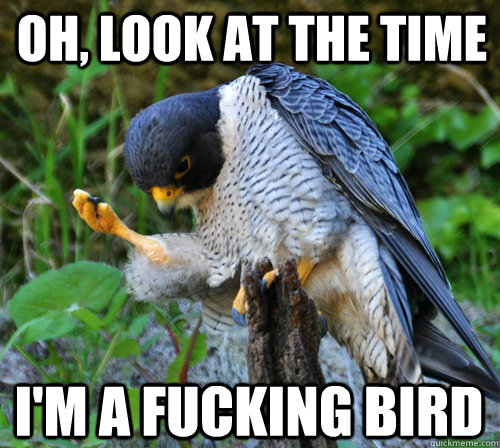 Oh, look at the time I'm a fucking bird  