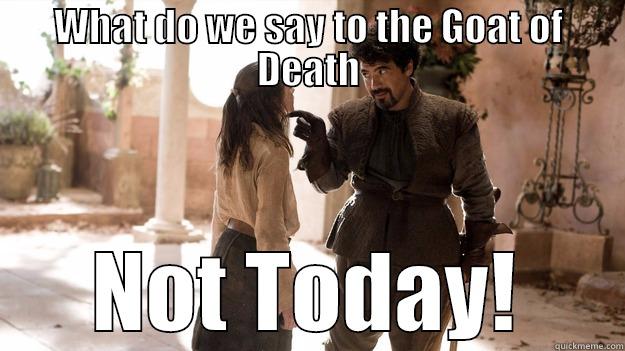 Goat BBQ - WHAT DO WE SAY TO THE GOAT OF DEATH NOT TODAY! Arya not today