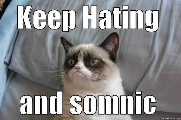 KEEP HATING AND SOMNIC Grumpy Cat