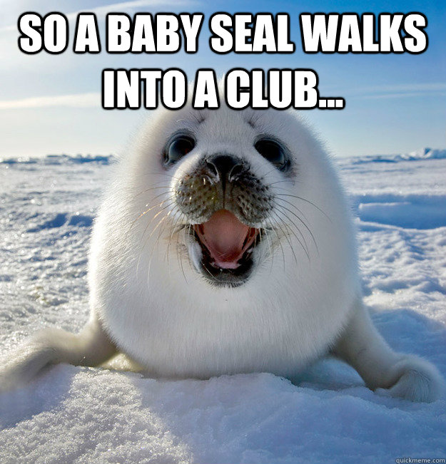 so a baby seal walks into a club...  - so a baby seal walks into a club...   Easily Pleased Seal