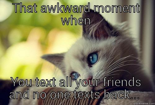 THAT AWKWARD MOMENT WHEN YOU TEXT ALL YOUR FRIENDS AND NO ONE TEXTS BACK First World Problems Cat