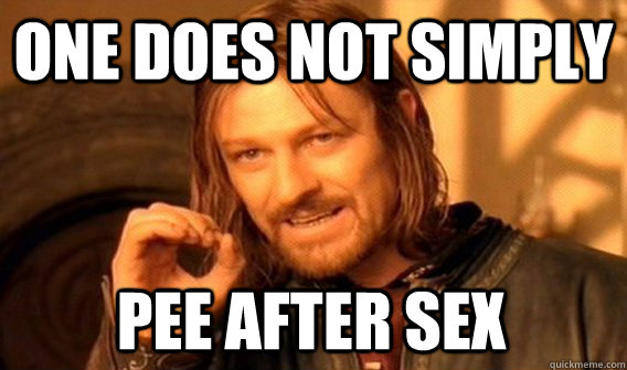 ONE DOES NOT SIMPLY PEE AFTER SEX  One Does Not Simply