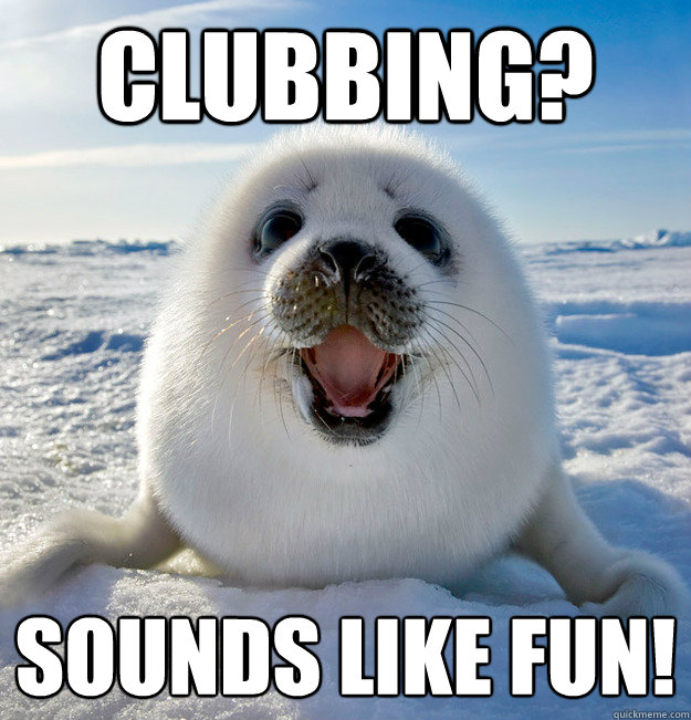 CLubbing? Sounds like fun! - CLubbing? Sounds like fun!  Naive Seal Cub