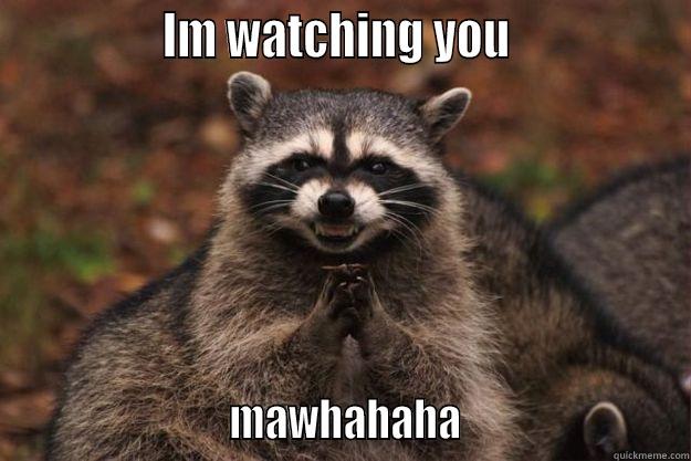 I'm watching you -               IM WATCHING YOU                                        MAWHAHAHA                        Evil Plotting Raccoon