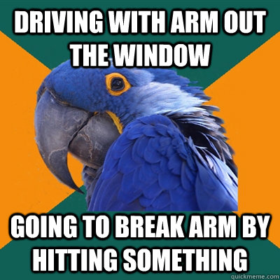 Driving with arm out the window going to break arm by hitting something  Paranoid Parrot