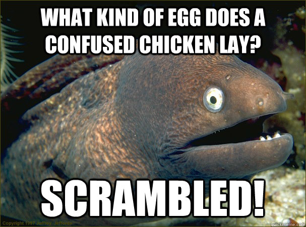 What kind of egg does a confused chicken lay? Scrambled!  Bad Joke Eel