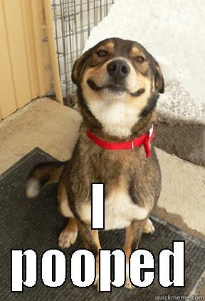  I POOPED Good Dog Greg