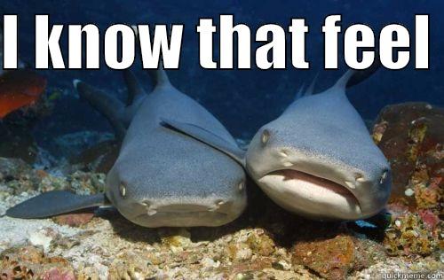 I KNOW THAT FEEL   Compassionate Shark Friend