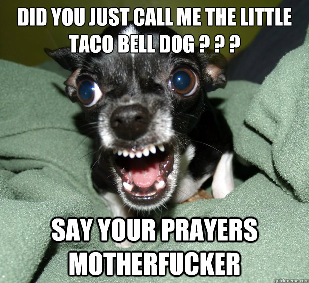 did you just call me the little taco bell dog ? ? ? say your prayers motherfucker  Chihuahua Logic
