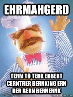 ehrmahgerd term to terk erbert cerntrer bernking ern der bern bernernk  