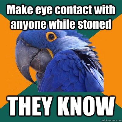 Make eye contact with anyone while stoned THEY KNOW  Paranoid Parrot