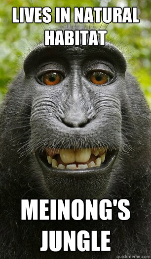 Lives in natural habitat Meinong's jungle - Lives in natural habitat Meinong's jungle  Mindful Macaque