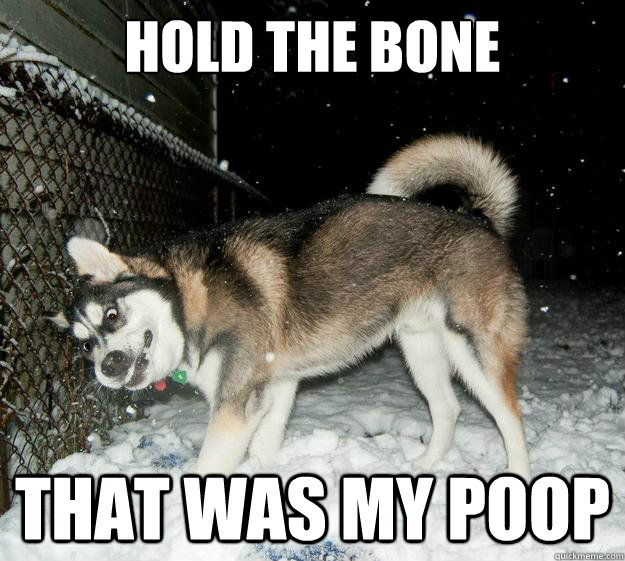 hold the bone that was my poop  Sudden Clarity Canine