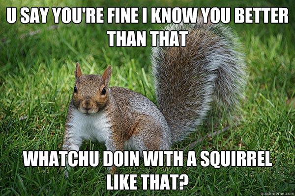 u say you're fine I know you better than that whatchu doin with a squirrel like that?  Adele