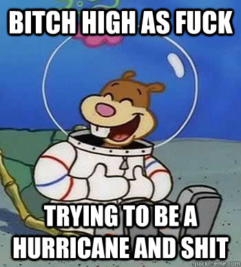 Bitch high as fuck trying to be a hurricane and shit  Sandy Cheeks