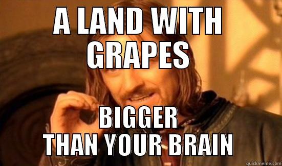 A LAND WITH GRAPES BIGGER THAN YOUR BRAIN Boromir