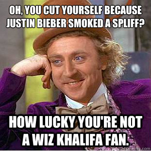 OH, YOU CUT YOURSELF BECAUSE JUSTIN BIEBER SMOKED A SPLIFF?
 HOW LUCKY YOU'RE NOT A WIZ KHALIFA FAN.  Condescending Wonka