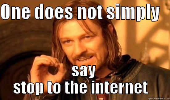 ONE DOES NOT SIMPLY    SAY STOP TO THE INTERNET   Boromir