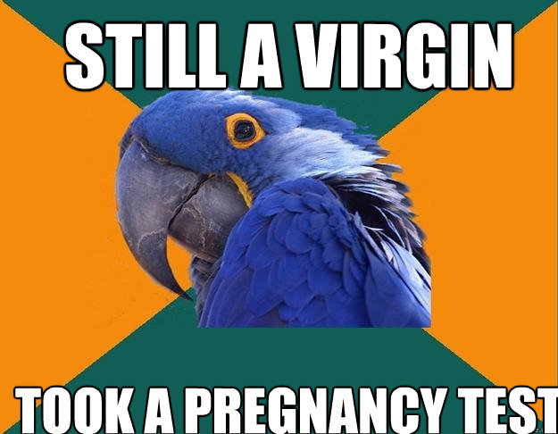still a virgin took a pregnancy test  Paranoid Parrot