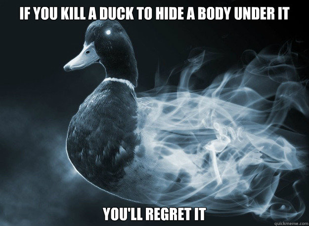 If you kill a duck to hide a body under it you'll regret it - If you kill a duck to hide a body under it you'll regret it  Afterlife Advice Mallard