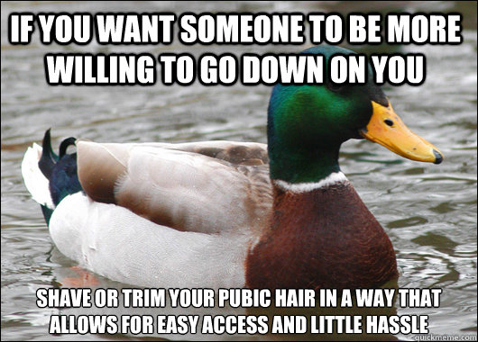 If you want someone to be more willing to go down on you shave or trim your pubic hair in a way that allows for easy access and little hassle  Actual Advice Mallard