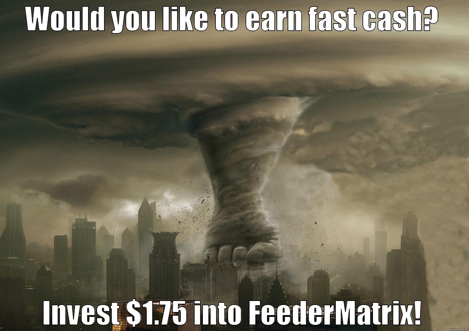 Tornado Fast Cash - WOULD YOU LIKE TO EARN FAST CASH? INVEST $1.75 INTO FEEDERMATRIX! Misc