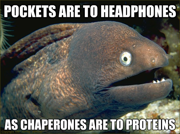 POCKETS ARE TO HEADPHONES AS CHAPERONES ARE TO PROTEINS  - POCKETS ARE TO HEADPHONES AS CHAPERONES ARE TO PROTEINS   Bad Joke Eel