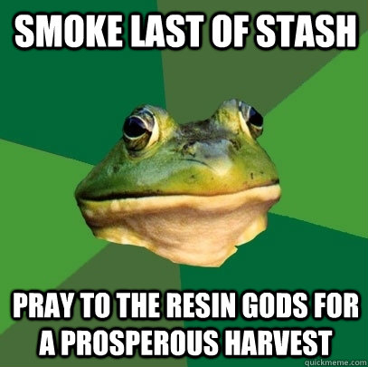 Smoke last of stash pray to the resin gods for a prosperous harvest  Foul Bachelor Frog