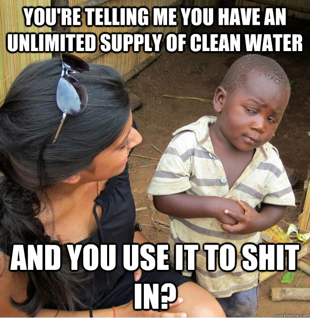 You're telling me you have an unlimited supply of clean water And you use it to shit in?  Skeptical Third World Kid