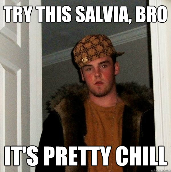 Try this salvia, bro It's pretty chill  Scumbag Steve