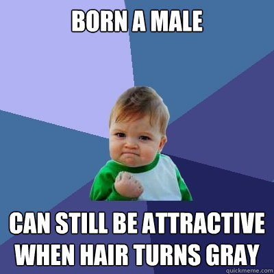 Born a male Can still be attractive when hair turns gray - Born a male Can still be attractive when hair turns gray  Success Kid
