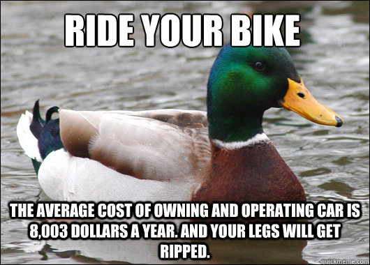 Ride your bike The average cost of owning and operating car is 8,003 dollars a year. And your legs will get ripped.  Actual Advice Mallard
