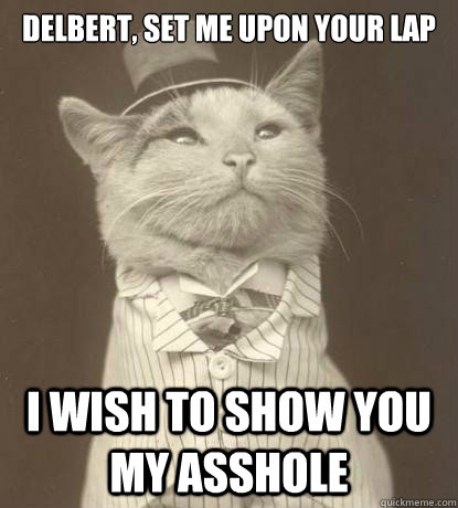 delbert, set me upon your lap I wish to show you my asshole  