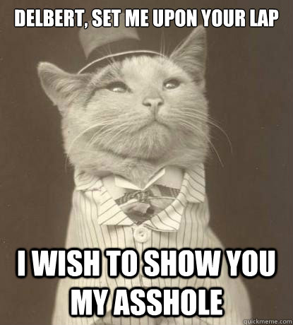 delbert, set me upon your lap I wish to show you my asshole - delbert, set me upon your lap I wish to show you my asshole  Aristocat