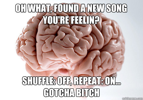 oh what, found a new song you're feelin? shuffle: off, repeat: on...
gotcha bitch  Scumbag Brain