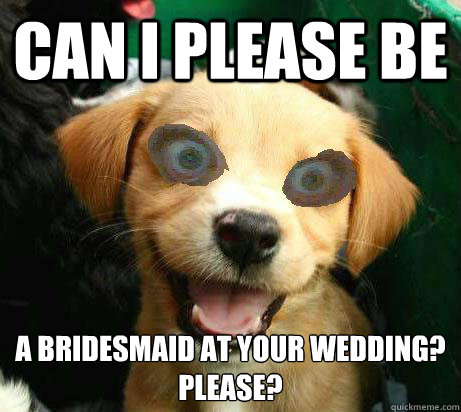 Can I please be a bridesmaid at your wedding?
Please?  Pervy Meme