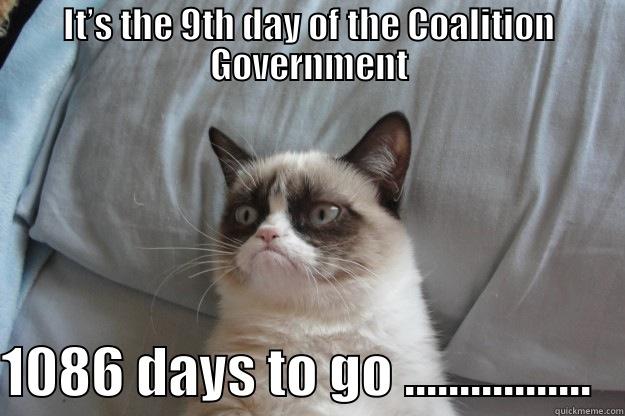 IT’S THE 9TH DAY OF THE COALITION GOVERNMENT 1086 DAYS TO GO .................   Grumpy Cat