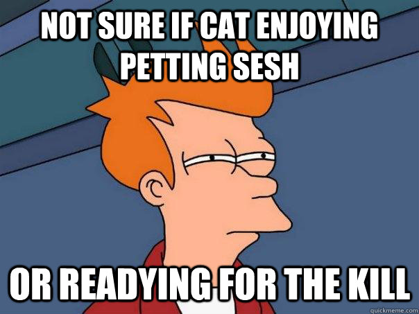 Not sure if cat enjoying petting sesh Or readying for the kill  Futurama Fry