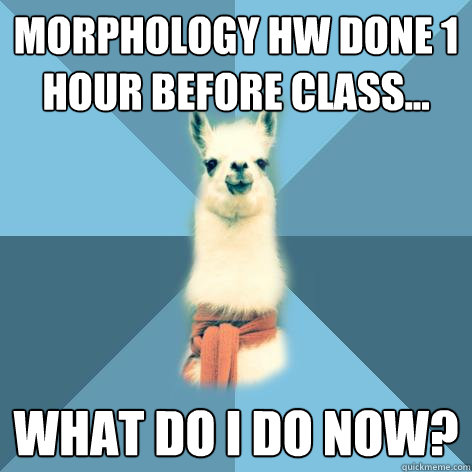Morphology HW done 1 hour before class... What do I do now?  Linguist Llama