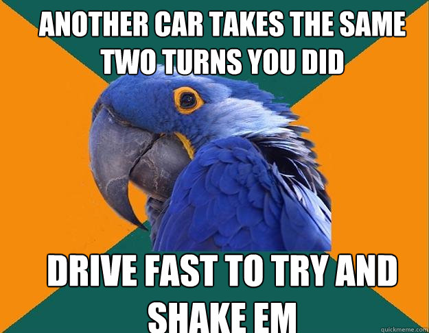 another car takes the same two turns you did drive fast to try and shake em   Paranoid Parrot