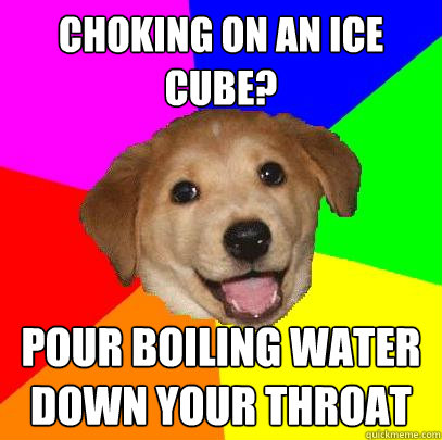 choking on an ice cube? pour boiling water down your throat  Advice Dog
