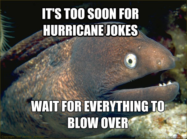 It's too soon for hurricane jokes Wait for everything to blow over  Bad Joke Eel