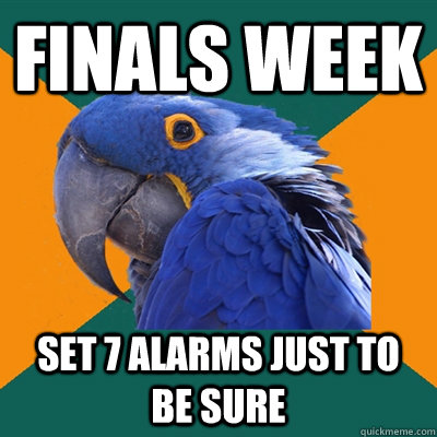 Finals week Set 7 alarms just to be sure  Paranoid Parrot