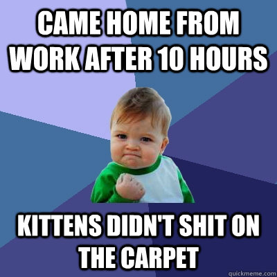 Came Home from Work After 10 Hours Kittens didn't shit on the carpet  Success Kid
