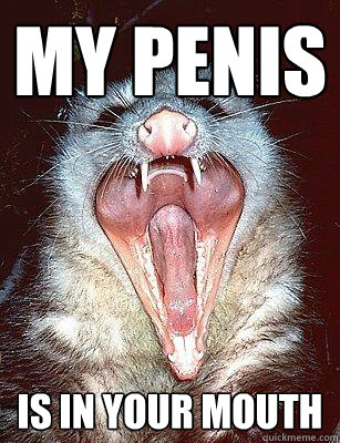 MY PENIS IS IN YOUR MOUTH  
