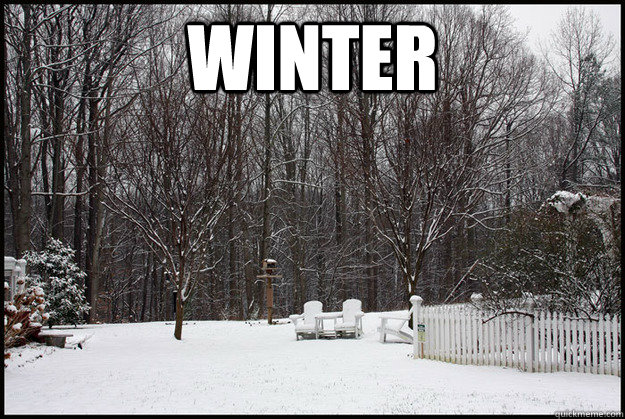 winter  - winter   Misc