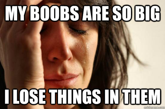My boobs are so big I lose things in them  First World Problems