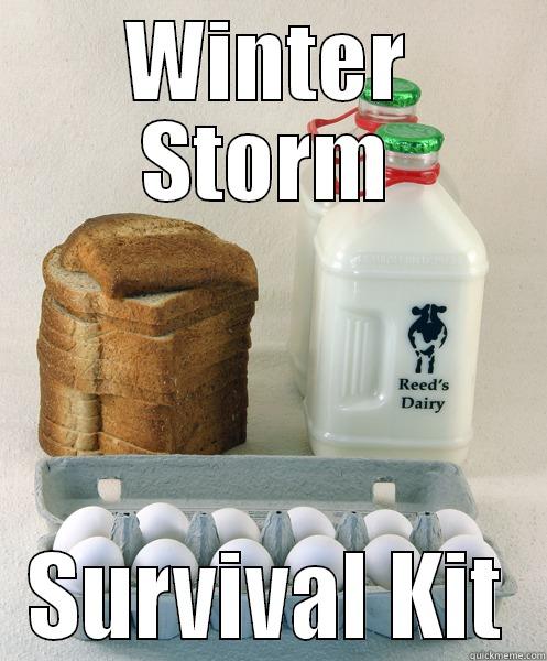 storm survival kit - WINTER STORM SURVIVAL KIT Misc